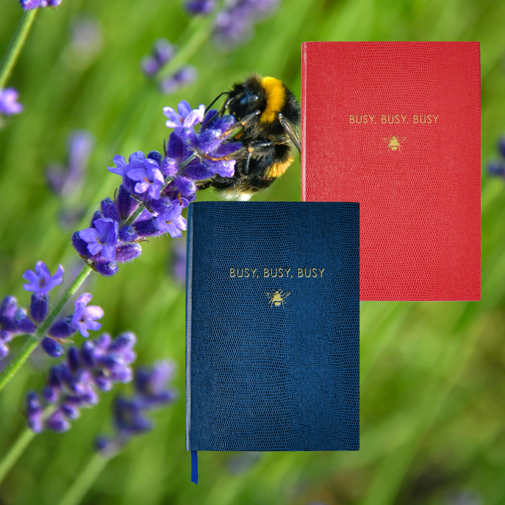 Busy Busy Busy Notebook