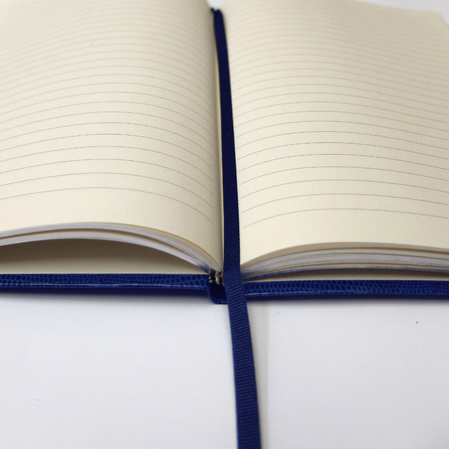 The Devil Is In The Details Notebook