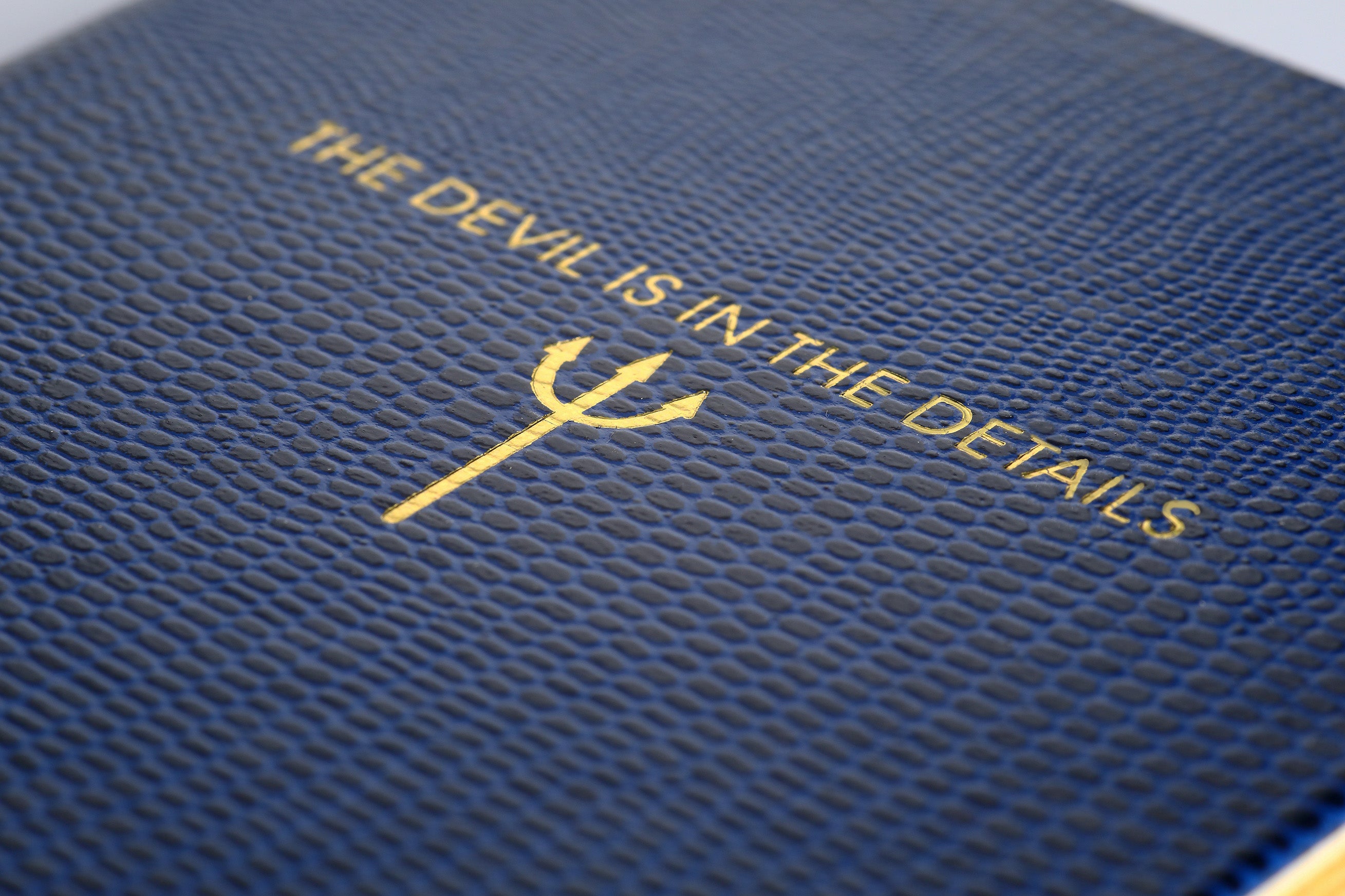 The Devil Is In The Details Notebook