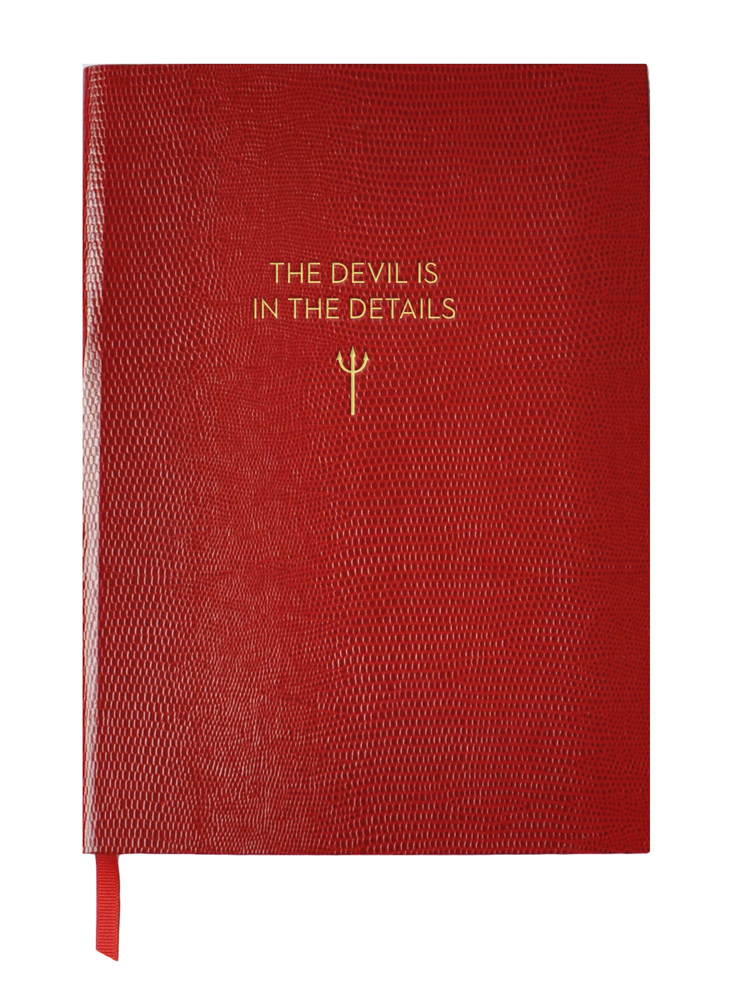 The Devil Is In The Details Notebook