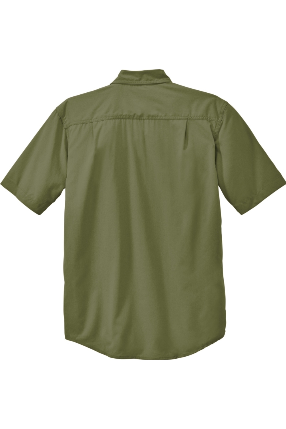 Burnt Olive|Back