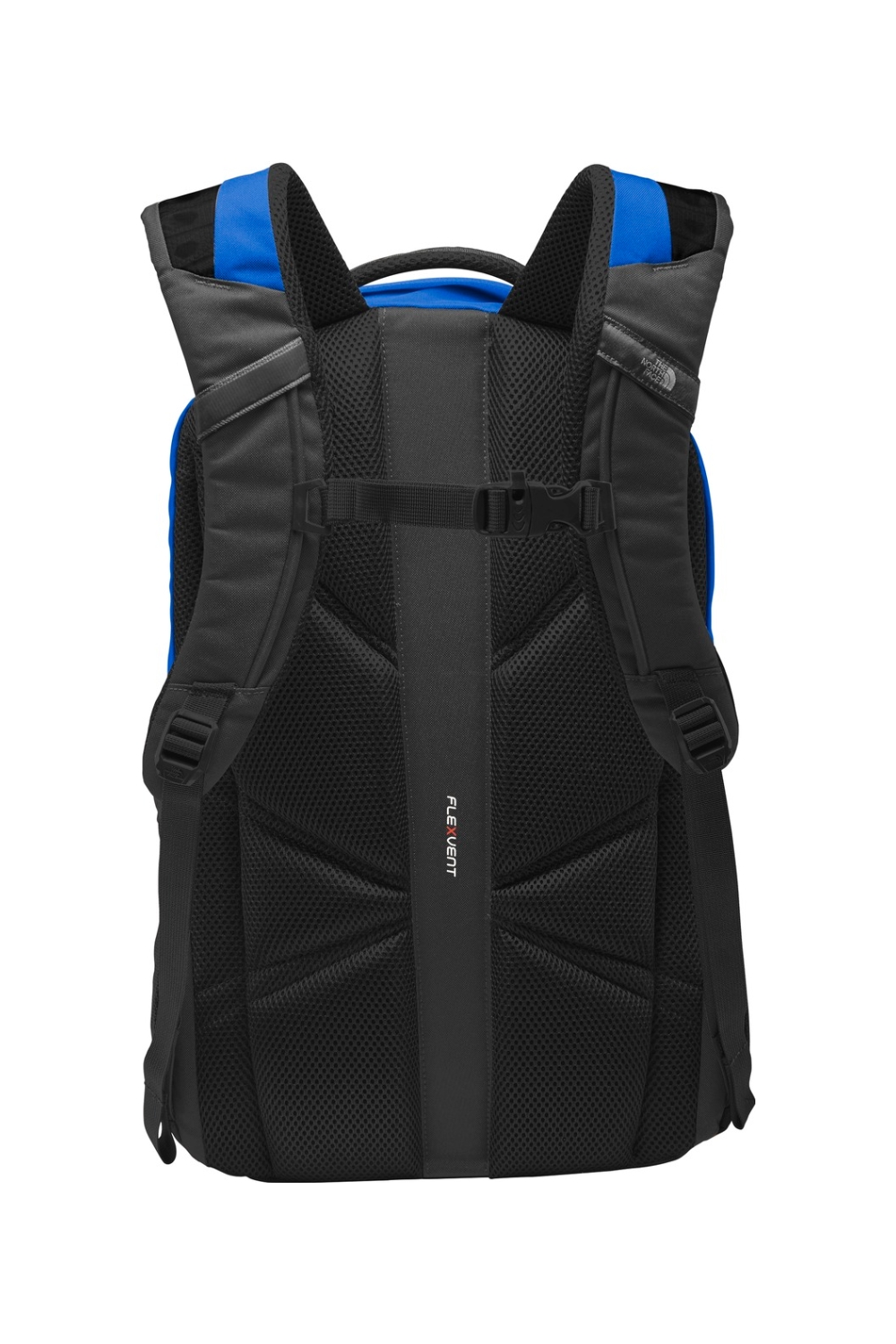 Monster Blue/ Asphalt Grey|Back