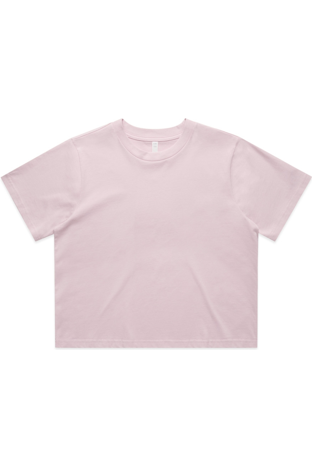 Orchid|Front