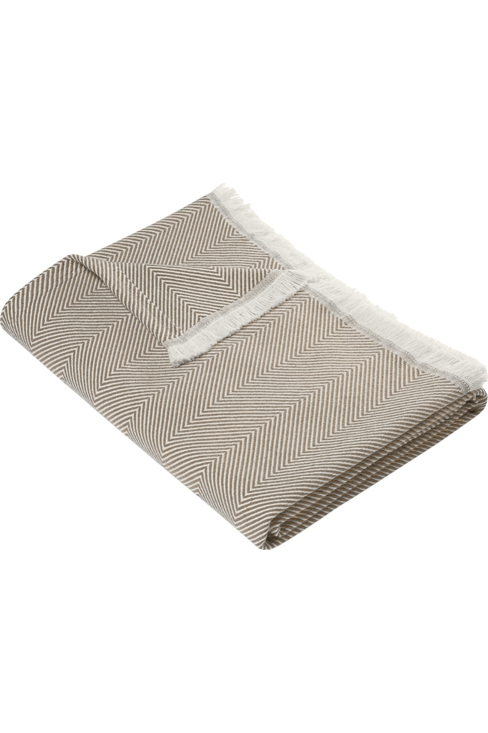 Ledger Khaki/ Parchment|Other