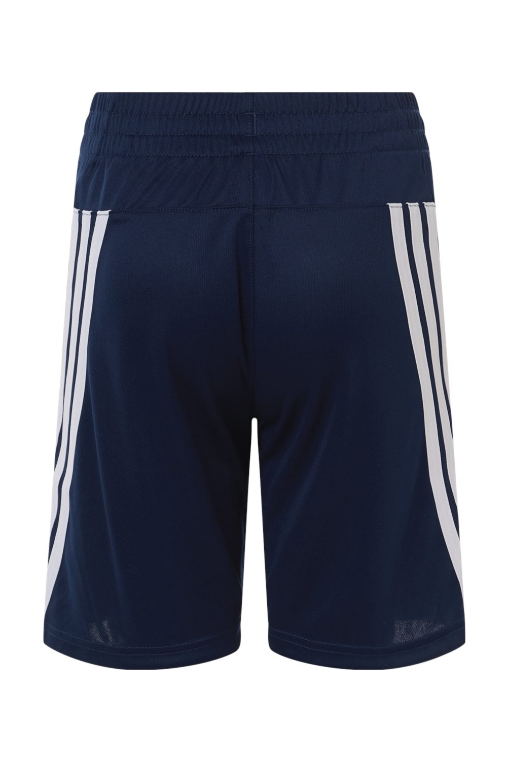 Collegiate Navy/ White|Back