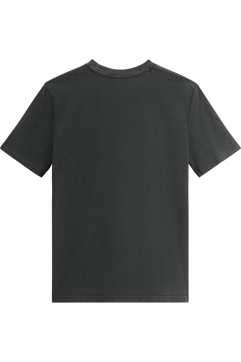 G. Dyed Black Rock|Back