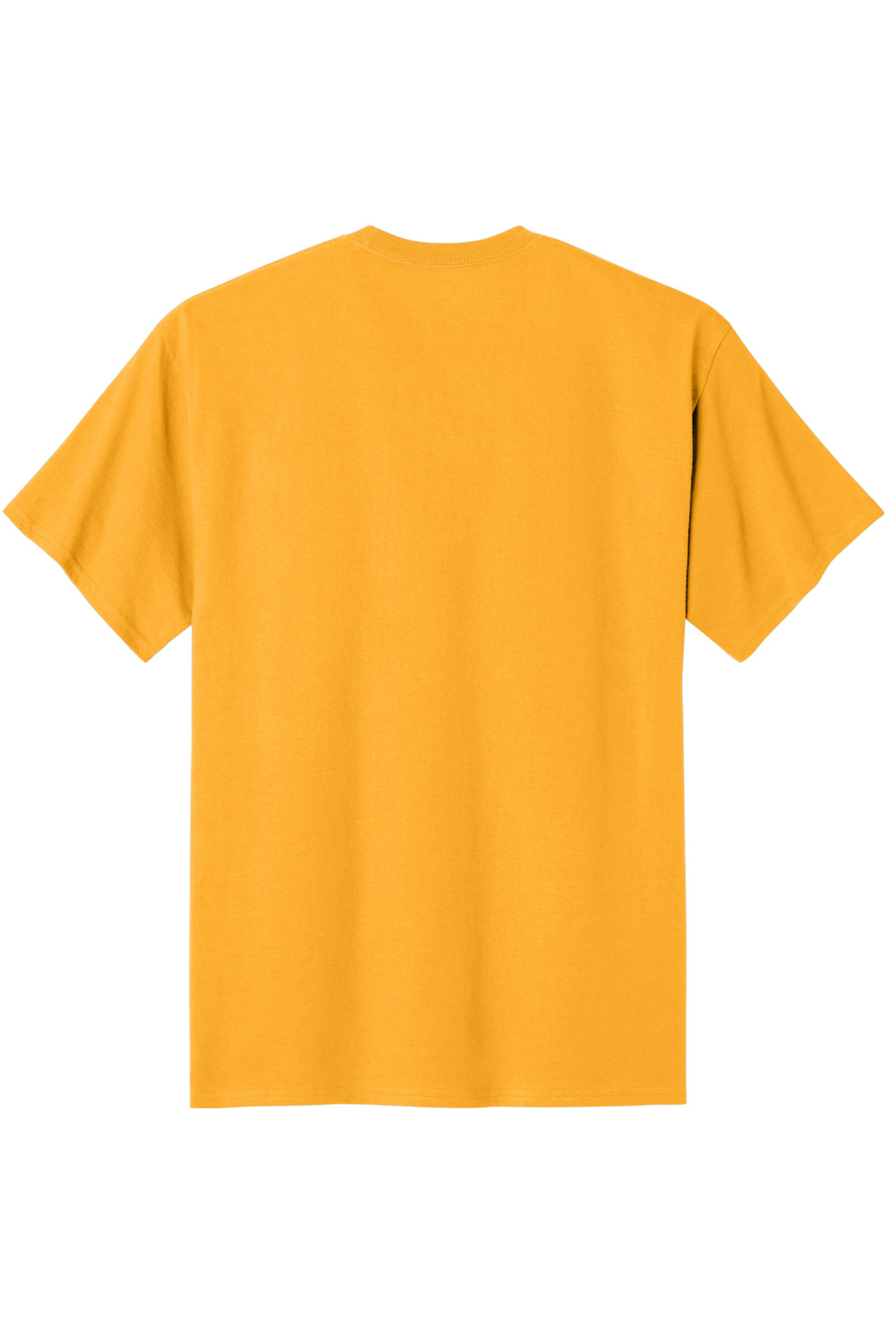 C Gold|Back