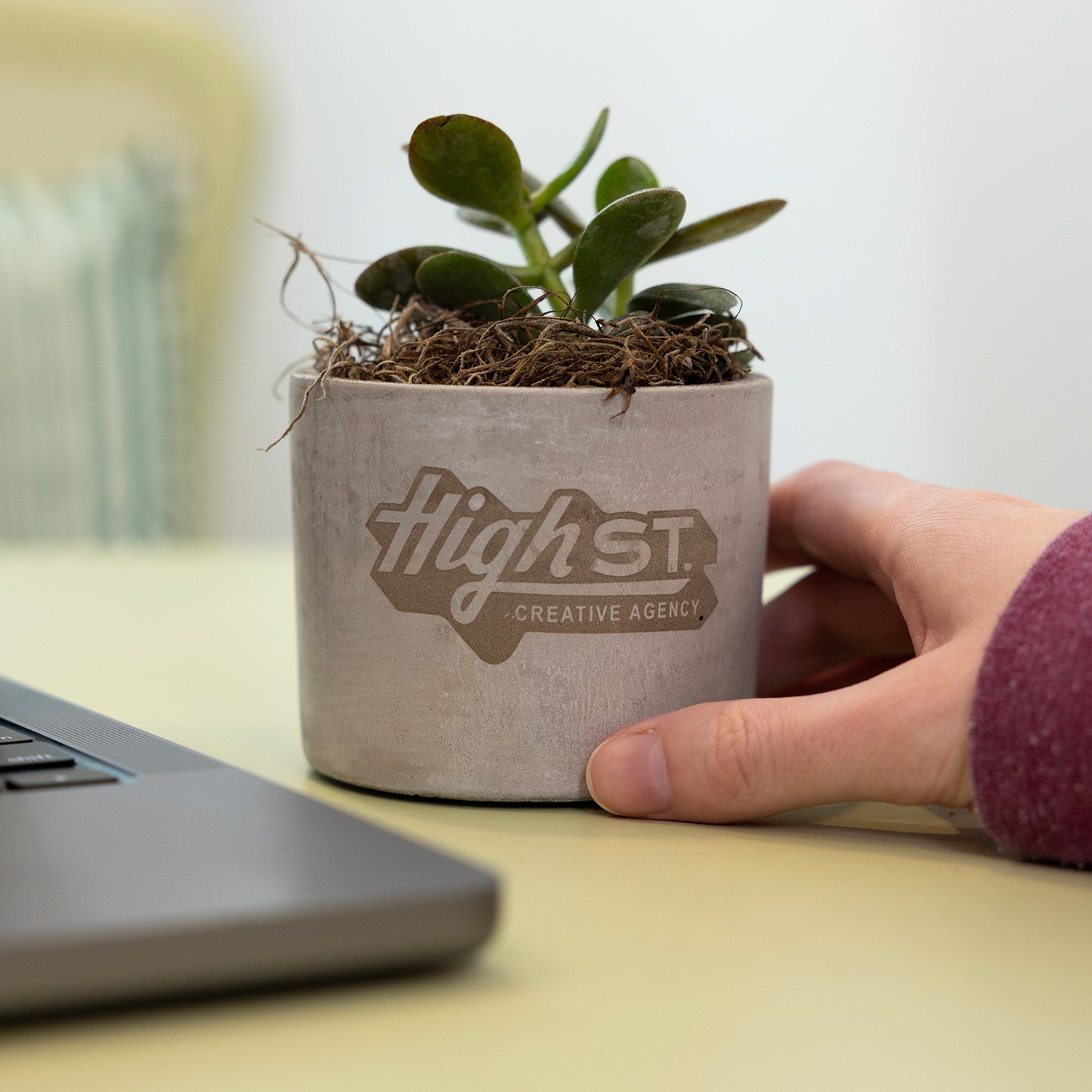 Mini Parker Plant B2B 2