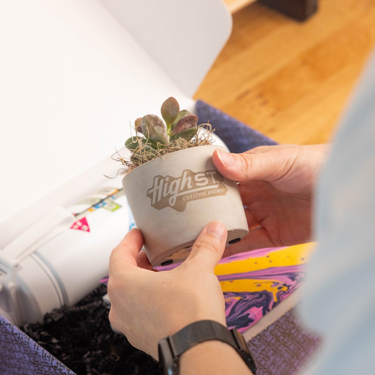 Mini Parker Plant B2B 3
