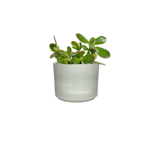 Mini Mason Line - Goody 2