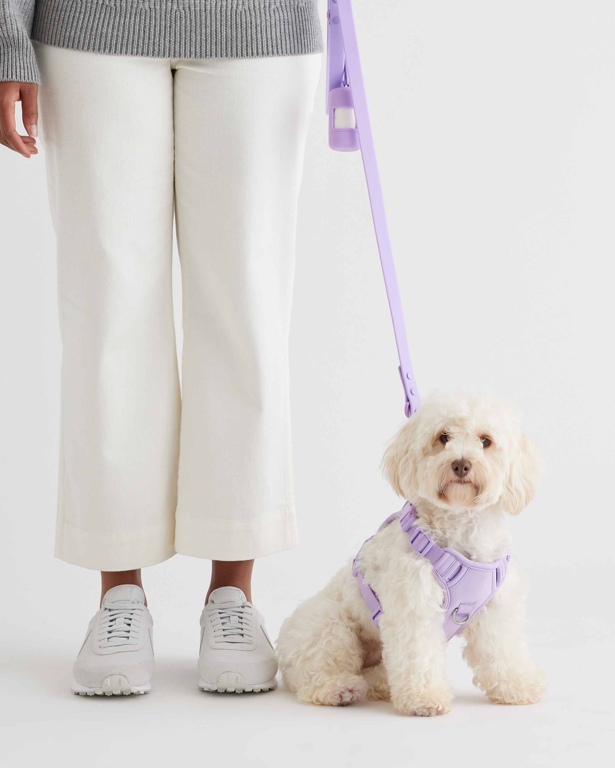 Dog Harness Walk Kit Lavender