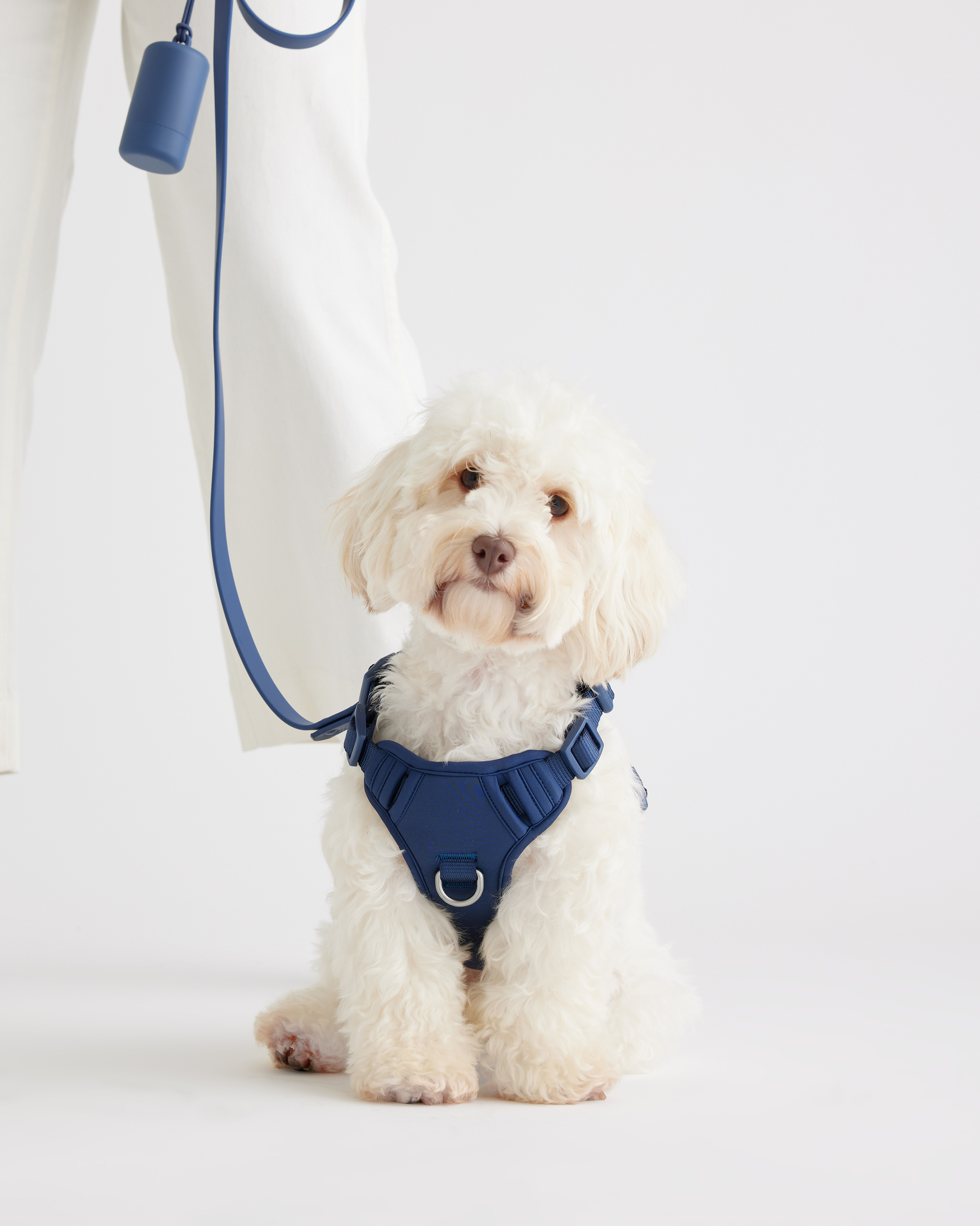 Dog Harness Walk Kit Navy