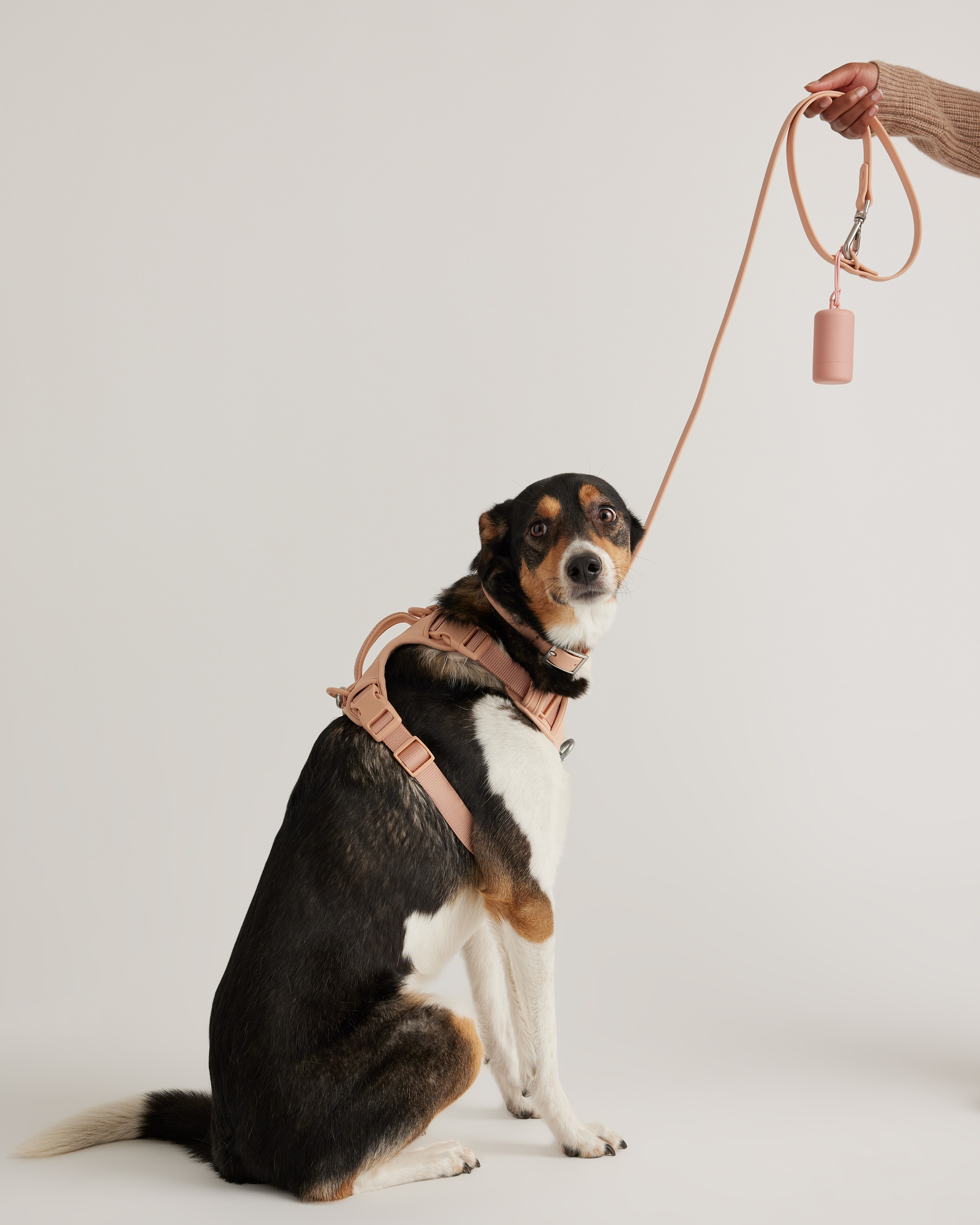 Dog Harness Walk Kit Soft Blush