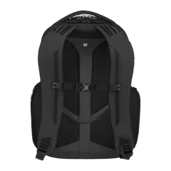 Black|Back