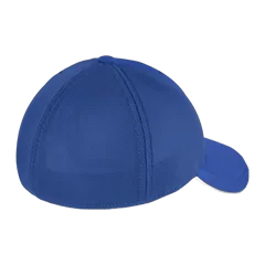 Enzyme Blue|Back