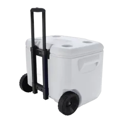 White|Back