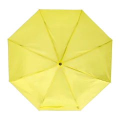 Yellow|Back