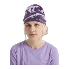 Arc'teryx Grotto Toque